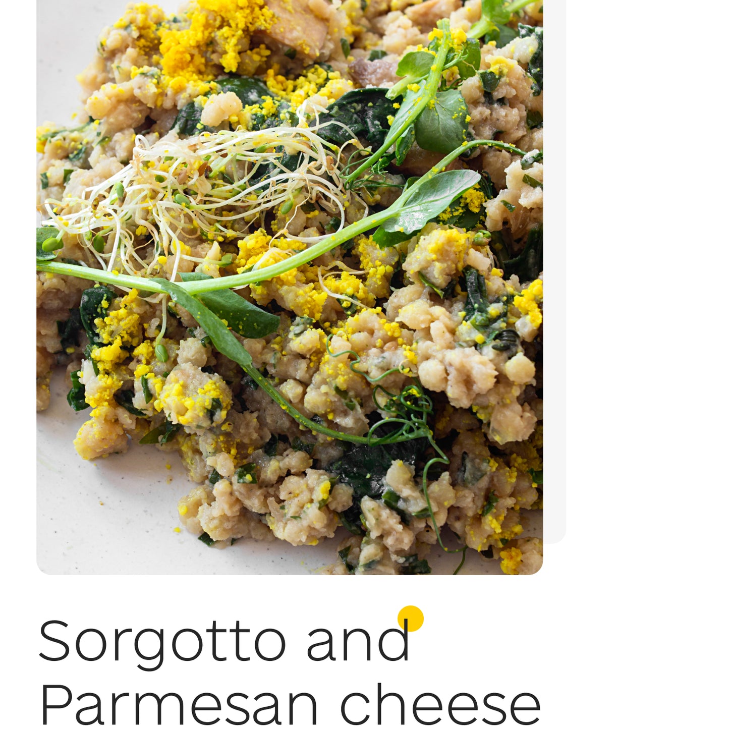 Daily vegan book (ONLINE)